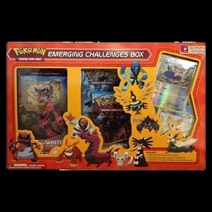 Emerging Challenges Box