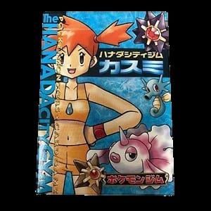 Hanada City Gym Kasumi