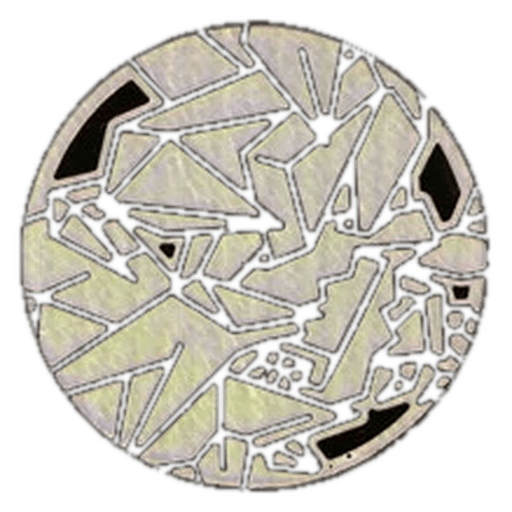 Unified Minds: Necrozma Coin (Laser Focus Theme Deck)