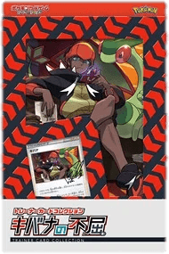 Raihan's Indomitability Trainer Card Collection