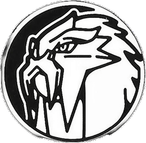 Shining Fates: Entei Coin (Mini Tins)