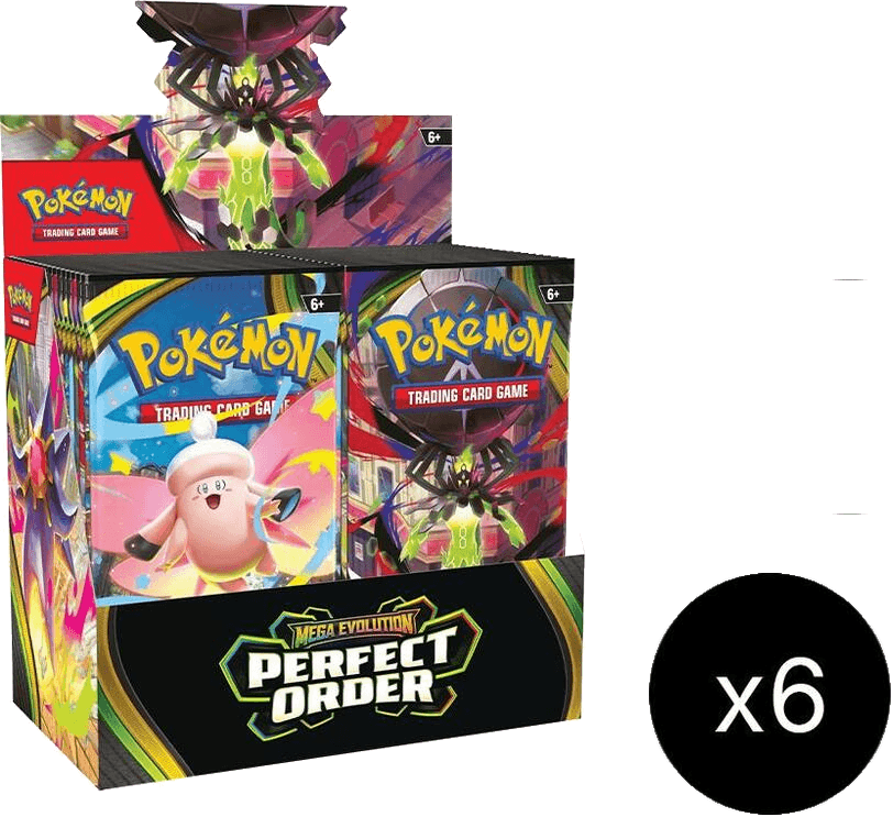 Perfect Order Booster Box Case