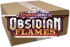 Obsidian Flames 10 Elite Trainer Box Case