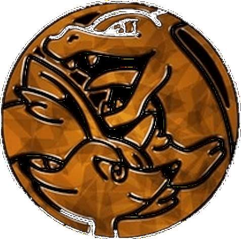 Charizard & Braixen Coin (TAG TEAM Generations Collection)
