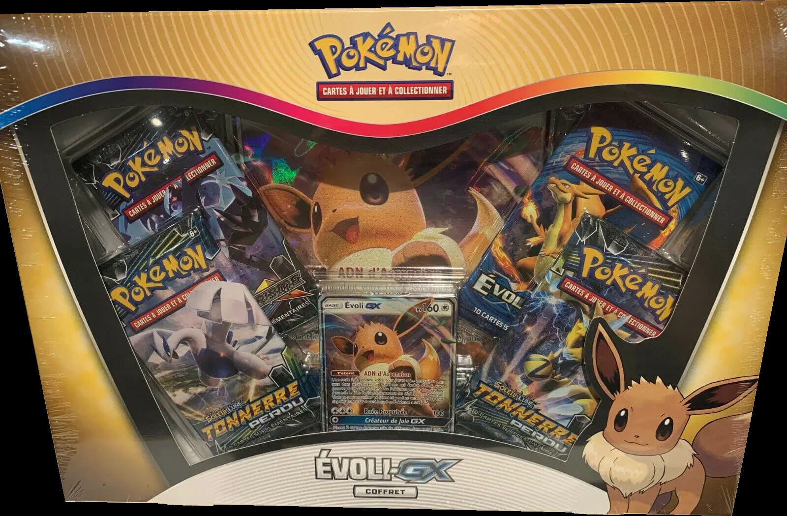 Coffret Évoli GX Version 1