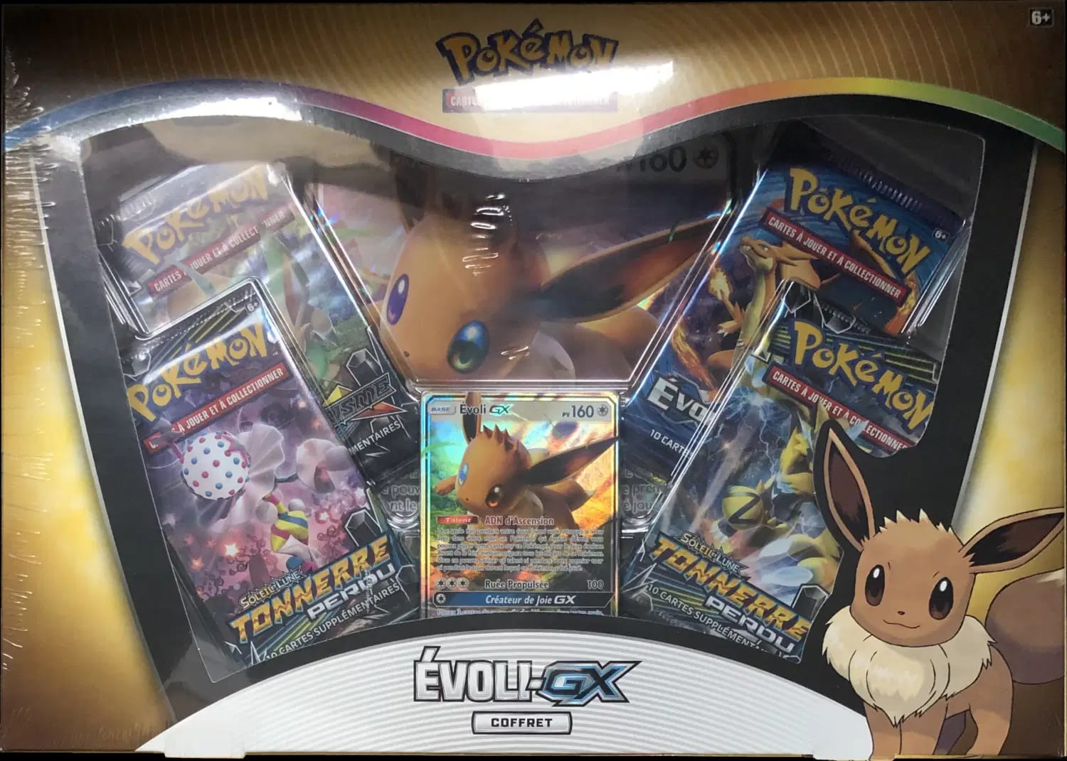 Coffret Évoli GX Version 2