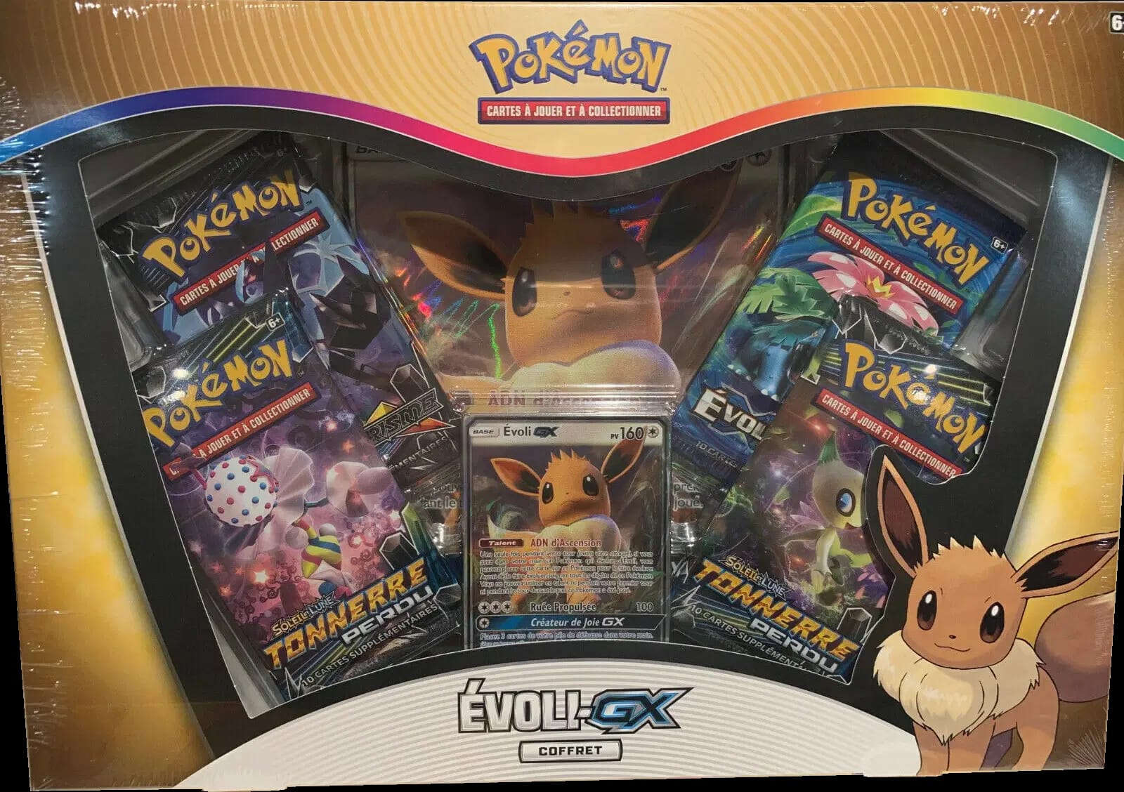 Coffret Évoli GX Version 3