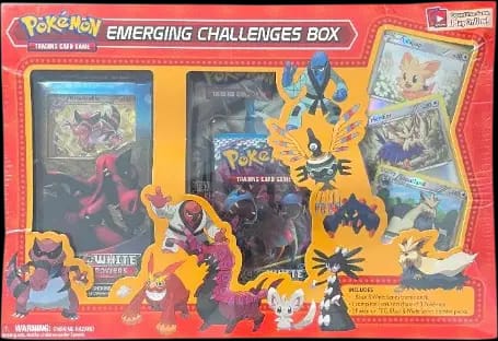 Emerging Challenges Box