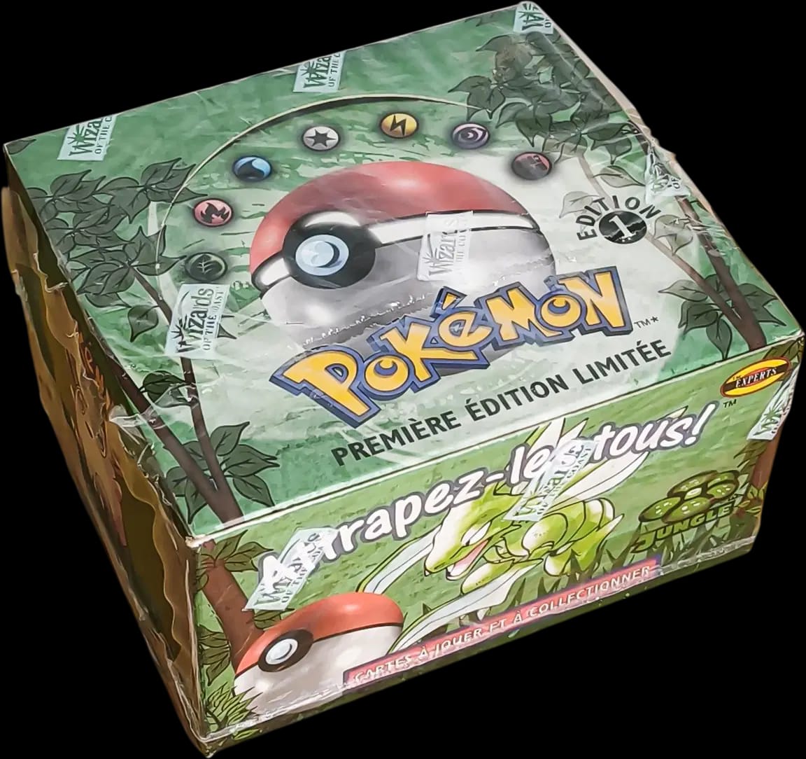 Jungle Display - 1st Edition